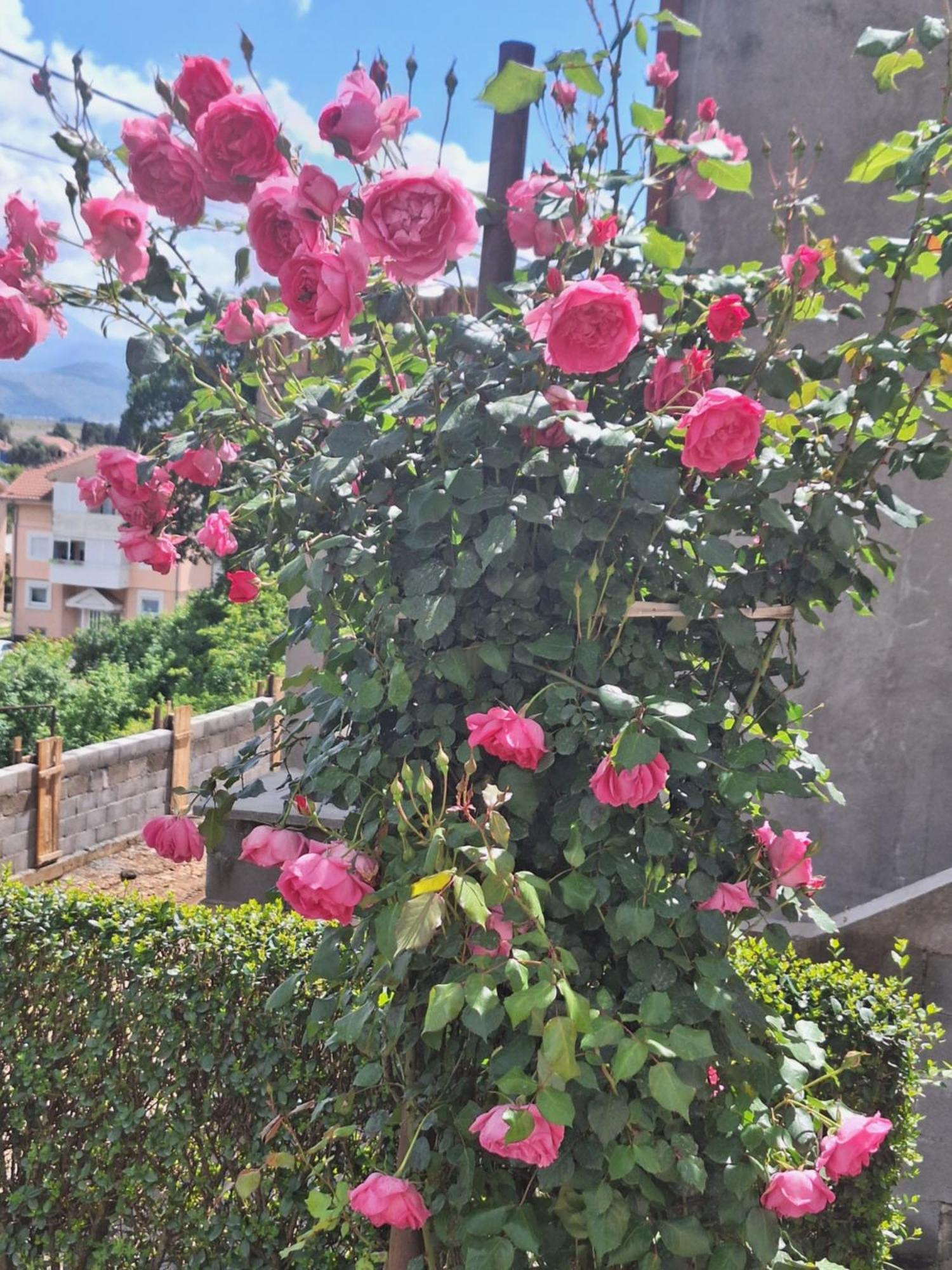 Apartmani Ruza Podgorica Kültér fotó
